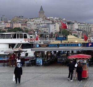 Bosphorus ferry